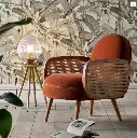 Cane Rattan Armchair, Velvet 02.webp
