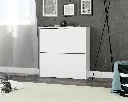 Brilo Matt White 2 Drawer Shoe Cabinet